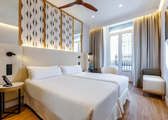 Hôtel 3 étoiles: Petit Palace Plaza De La Reina